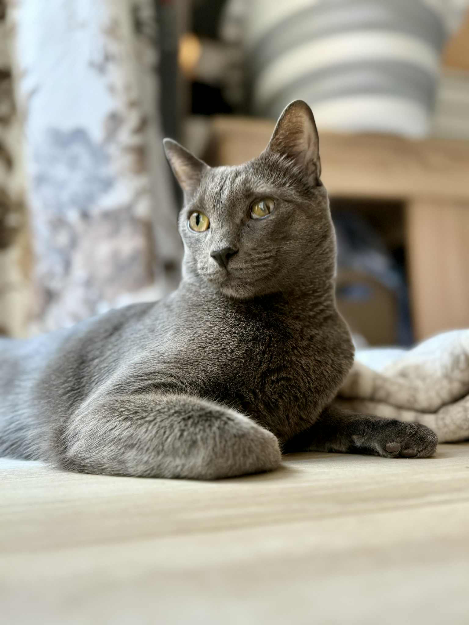 98facdf4-f8d8-4c66-a70d-c5e6493ba85e